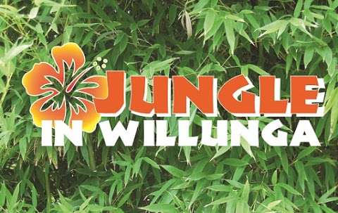 Photo: Jungle in Willunga